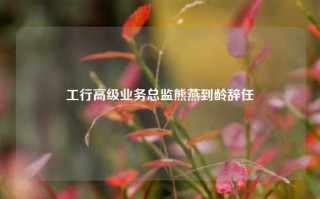 工行高级业务总监熊燕到龄辞任