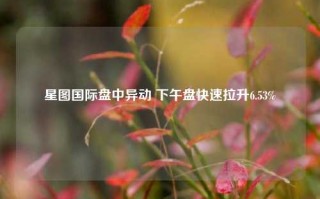 星图国际盘中异动 下午盘快速拉升6.53%