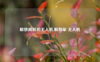 解放阁航拍无人机,解放军 无人机