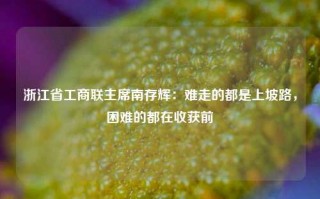 浙江省工商联主席南存辉：难走的都是上坡路，困难的都在收获前