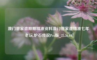 澳门管家婆期期精准资料澳门管家婆精准七年老玩,炉石传说Pro版_25.36.64