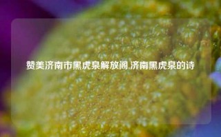 赞美济南市黑虎泉解放阁,济南黑虎泉的诗