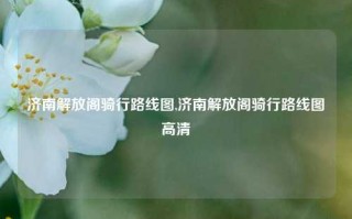 济南解放阁骑行路线图,济南解放阁骑行路线图高清