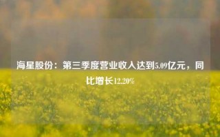 海星股份：第三季度营业收入达到5.09亿元，同比增长12.20%