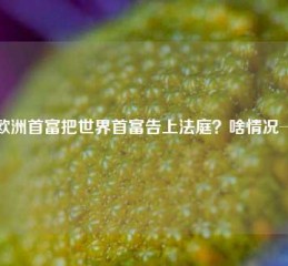 欧洲首富把世界首富告上法庭？啥情况→