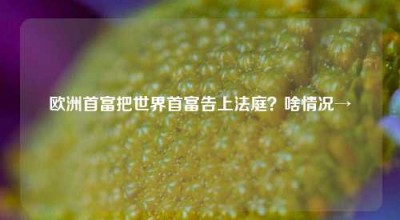 欧洲首富把世界首富告上法庭？啥情况→