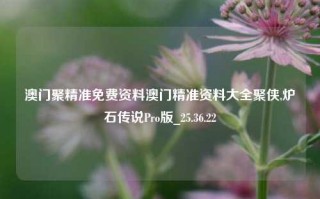 澳门聚精准免费资料澳门精准资料大全聚侠,炉石传说Pro版_25.36.22