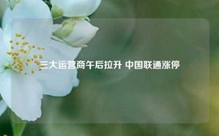 三大运营商午后拉升 中国联通涨停