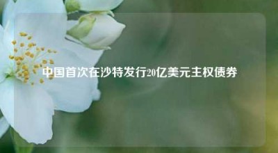 中国首次在沙特发行20亿美元主权债券