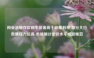 同业活期存款利率显著高于政策利率 部分大行负债压力较高 市场预计定价水平或迎规范