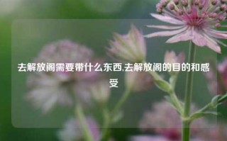 去解放阁需要带什么东西,去解放阁的目的和感受