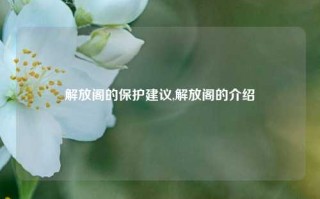 解放阁的保护建议,解放阁的介绍