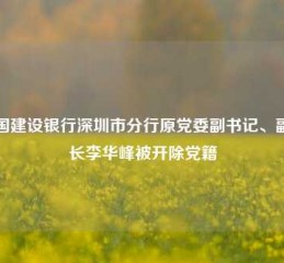 中国建设银行深圳市分行原党委副书记、副行长李华峰被开除党籍