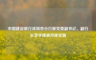 中国建设银行深圳市分行原党委副书记、副行长李华峰被开除党籍