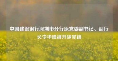 中国建设银行深圳市分行原党委副书记、副行长李华峰被开除党籍