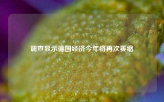 调查显示德国经济今年将再次萎缩