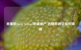 美廉航Spirit Airlines申请破产 近期将被交易所摘牌