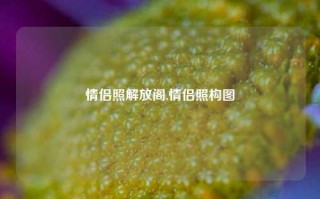 情侣照解放阁,情侣照构图