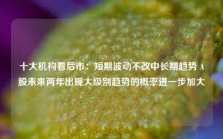 十大机构看后市：短期波动不改中长期趋势 A股未来两年出现大级别趋势的概率进一步加大