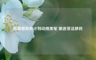 特朗普政府计划动用美军 驱逐非法移民