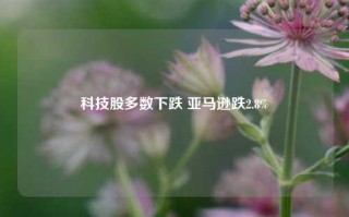 科技股多数下跌 亚马逊跌2.8%