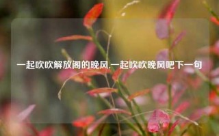 一起吹吹解放阁的晚风,一起吹吹晚风吧下一句