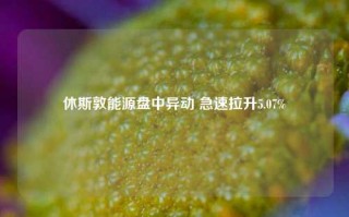 休斯敦能源盘中异动 急速拉升5.07%