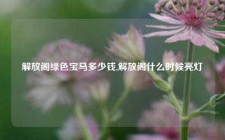 解放阁绿色宝马多少钱,解放阁什么时候亮灯