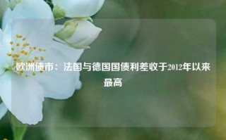 欧洲债市：法国与德国国债利差收于2012年以来最高