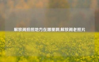 解放阁拍照地方在哪里啊,解放阁老照片