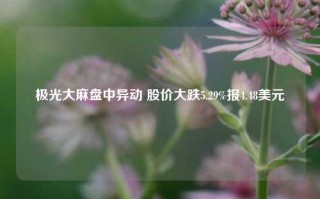 极光大麻盘中异动 股价大跌5.29%报4.48美元