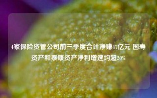 4家保险资管公司前三季度合计净赚47亿元 国寿资产和泰康资产净利增速均超20%