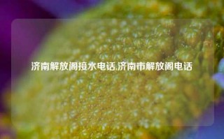 济南解放阁接水电话,济南市解放阁电话