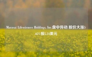 Maravai Lifesciences Holdings, Inc.盘中异动 股价大涨5.65%报5.24美元