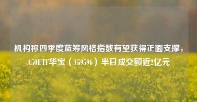 机构称四季度蓝筹风格指数有望获得正面支撑，A50ETF华宝（159596）半日成交额近2亿元