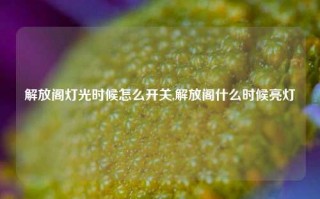 解放阁灯光时候怎么开关,解放阁什么时候亮灯