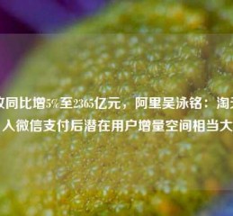 营收同比增5%至2365亿元，阿里吴泳铭：淘天接入微信支付后潜在用户增量空间相当大