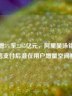 营收同比增5%至2365亿元，阿里吴泳铭：淘天接入微信支付后潜在用户增量空间相当大