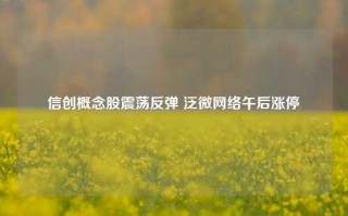 信创概念股震荡反弹 泛微网络午后涨停