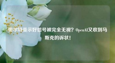 奥尔特曼示好信号被完全无视？OpenAI又收到马斯克的诉状！