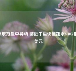 华赢东方盘中异动 临近午盘快速跳水6.30%报2.38美元