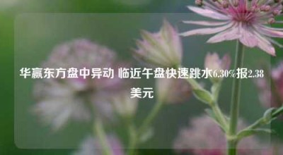 华赢东方盘中异动 临近午盘快速跳水6.30%报2.38美元