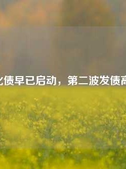 10万亿化债早已启动，第二波发债高潮来了