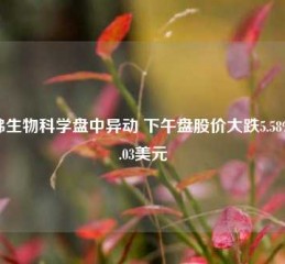 哈佛生物科学盘中异动 下午盘股价大跌5.58%报2.03美元