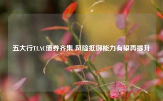 五大行TLAC债券齐集 风险抵御能力有望再提升