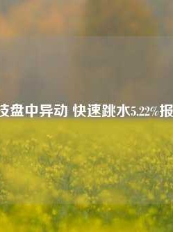 研控科技盘中异动 快速跳水5.22%报2.18美元