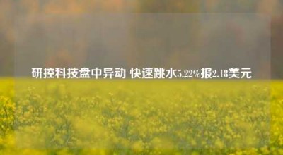 研控科技盘中异动 快速跳水5.22%报2.18美元