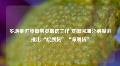 多地推进质量融资增信工作 安徽深圳分别探索推出“皖质贷”“深质贷”