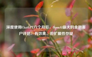 深度使用ChatGPT六个月后，OpenAI最大的金融客户评估：有效果，但扩展性存疑