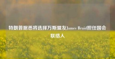 特朗普据悉将选择万斯盟友James Braid担任国会联络人